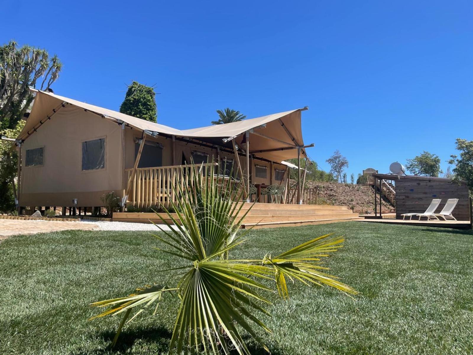 Вилла Casa Boavista Сан-Мартинью-ду-Порту Экстерьер фото